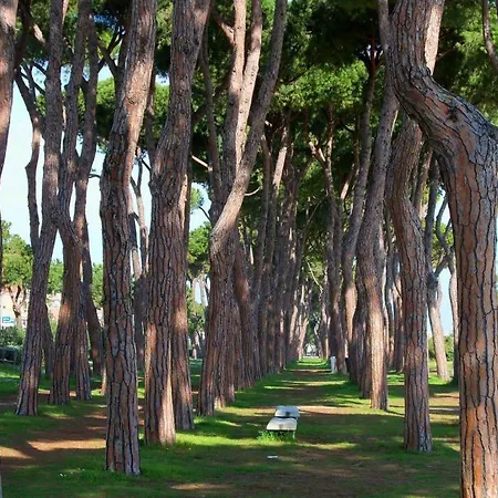 Ginevra 4 - * Pineto